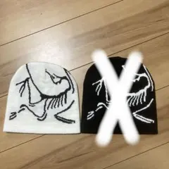アークテリクス風ビーニー 白 ストリート