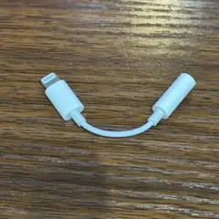 Apple純正 ライトニング イヤホン(3.5mm) 変換アダプター