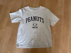 美品　ユニクロ　UT スヌーピー　PEANUTS 半袖Tシャツ　レディース　M