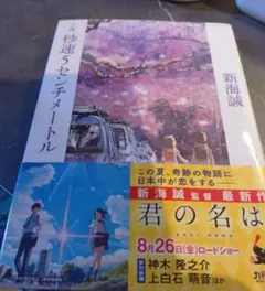 小説、秒速5センチメートル
