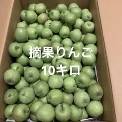 10 킬로그램의 고른 사과