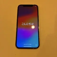 iPhone 12 Pro 256GBのサムネイル
