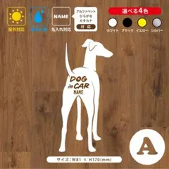 Item thumbnail for item 398d2c9f-c014-4178-ba31-7e408d0a463b