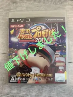 実況パワフルプロ野球2011決定版