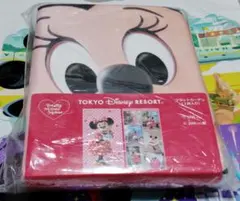 東京ディズニーリゾート トータリーミニーマウス フラットカーテン 2枚