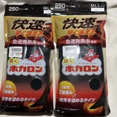 はくホカロン　タイツ　250デニール
