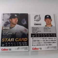 第２弾プロ野球チップスカード　千葉ロッテマリーンズ