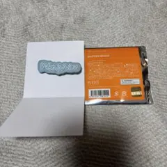 ウォヌ　ワッペンバッジ　SEVENTEEN HOME