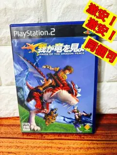 PS2ソフト 我が竜を見よ！ PRIDE OF THE DRAGON PEACE
