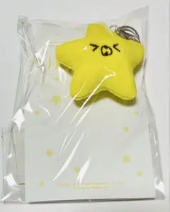 NCT127 THE UNITY MD ヒトデ キーホルダー ヘチャン