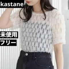 Kastane フェザー チュール トップス シアー クロップド 未使用のサムネイル