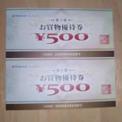 ヤマダ電機　お買物優待券　500円×2枚