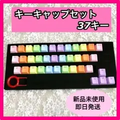 Item thumbnail for item 113f360e-cf0a-4f7a-9984-a1629731bfbe