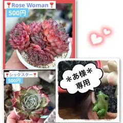 あ様 リクエスト 2点 まとめ商品