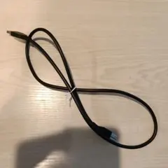 ケーブル 本体