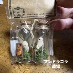 マンドラゴラ 瓶詰め 置物 2個セットのサムネイル