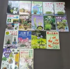 趣味の山野草 1981年〜1984年 18冊セット - メルカリ