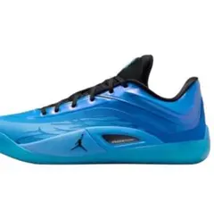 NIKE ジョーダン　ザイオン 4 PF ブルー バッシュ バスケ 29センチのサムネイル