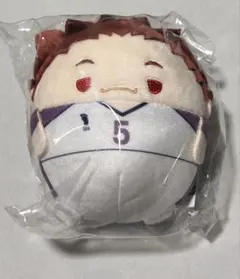 ハイキュー ふわコロりん5 天童覚 白鳥沢