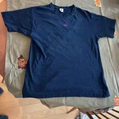 Item thumbnail for item bfcc3cce-bf29-47c5-a2a6-39a0ee08cd61