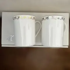 陶器製コーヒー・ティー用マグカップ2個セット　4℃