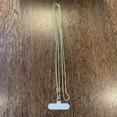 CASETIFY Snake Chain Strap Gold