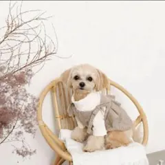 Item thumbnail for item a10c883d-7913-45b4-8dd4-5470bc5cc481