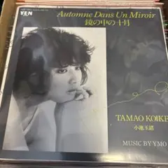 2026年最新】YMOの人気アイテム - メルカリ