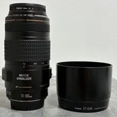 2026年最新】canon 70-300mmの人気アイテム - メルカリ