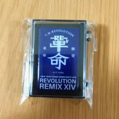 Item thumbnail for item 465cddf1-34a8-4eb1-ac9b-34d89cf45c6d