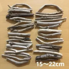 Item thumbnail for item 4b833443-4646-4304-84a6-a1506568c2ca