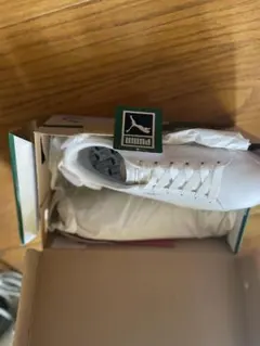 Item thumbnail for item ad5dbd63-b92d-4321-b66f-007fe8ad3846