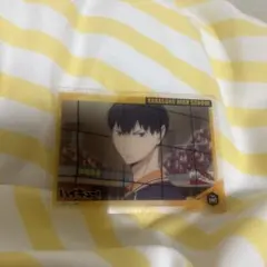 ハイキュー 影山飛雄 NO190