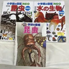 2841s小学館の図鑑　昆虫・水の生物　3冊セット