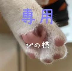 ぴの@購入後の初回挨拶不要です☺︎様 リクエスト 2点 まとめ商品