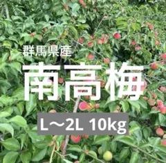 おひさま農園の農薬不使用　完熟　南高梅３kg おひさま農園の農薬不使用 完熟 南高梅3kg - メルカリ