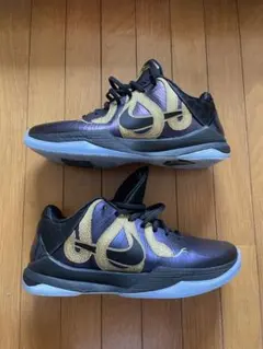Nike Kobe5 Protro