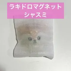 ミニティーン　シャスミ　ジョシュア　マグネット　ラキドロ　SEVENTEEN