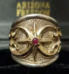 【アリゾナフリーダム】