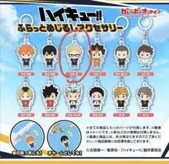 ハイキュー!! 月島蛍アクリルキーホルダー