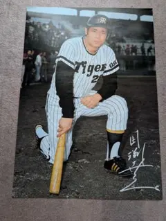 阪神タイガース 田淵幸一 ポスター B2サイズ