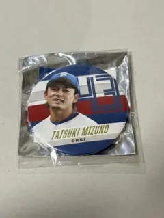 ファイターズ ブラインド缶バッチ 水野達稀