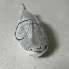 300円で買えるもの　サカバンバスピス　ぬいぐるみ　ストラップのサムネイル