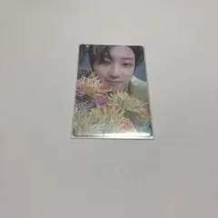 SEVENTEEN sector17 THE8