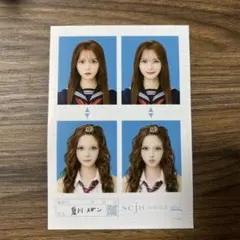 seju 証明写真 vol.2 3枚セット