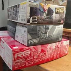 RG ガンプラ 3点セット まとめ売り プレミアムバンダイ 新品 未使用