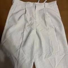 Item thumbnail for item 9191ab35-b574-41fa-831f-8d17749fe41a