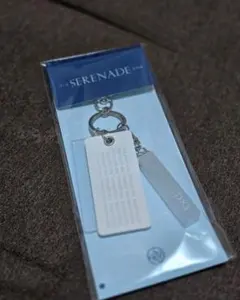 seventeen DxS Serenade necklace ネックレス - メルカリ