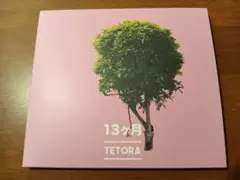 TETORA / 13ヶ月 など CD 9枚セット 帯付き 美品 非売品あり TETORA / 13ヶ月 など CD 9枚セット 帯付き 美品 非売品あり