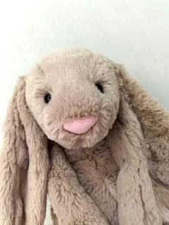Jellycatジェリーキャット バシュフル ブラッシュバニーMサイズ 31cm